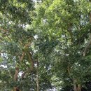 중화동-006 이미지