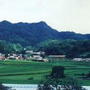 오동1 이미지