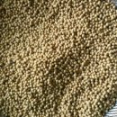 351-2-000010 이미지