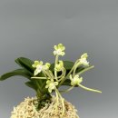 두엽농장 이미지