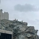 다니엘목장 | *:･ﾟ✧✿ﾟ 꿈에그리던 스위잇스🌿 ⑧ 고르너그라트트래킹 치즈퐁듀대실패 엽떡밀키트 마지막밤*:･ﾟ✧✿ﾟ