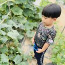 별하농장 이미지