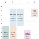 혜연메디칼 네이버블로그