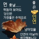 시월엔 꼭 좋은일만 있기를~ 이미지