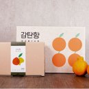 엘이엔티 이미지