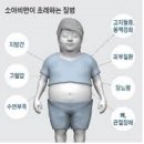 한가람 태권도장 이미지