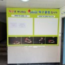 다이어트클럽 | 🏓 서구 드라이브탁구클럽 후기 – 관장님 레슨으로 실력·다이어트 둘 다 잡았다!