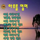 7080민들레라이브카페
