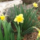 신동리농장 이미지