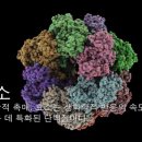 네이처플럽 이미지