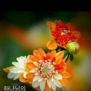 한국문화의집 이미지