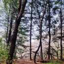 메샤르 빌딩 이미지