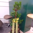 연세신경정신과의원 이미지