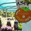 오아시스가든 이미지