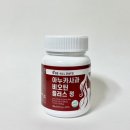 은제컴퍼니 네이버블로그