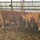 승지목장 이미지