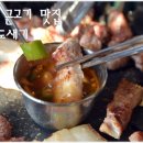 한림도새기