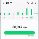 솔마루길 신선산 | 울산-해파랑길 5코스/남창역(남창천삼거리)~6코스/해양경찰서 (21.8km)