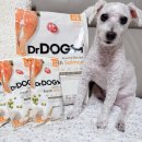 지니독 | 내 강아지 피부 건강을 위한 선택~ 닥터독 피부모질 사료 연어 2kg 후기 🐶✨