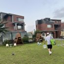 티에라 비바 이미지