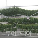 웰빙먹거리