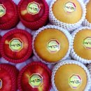 거성1호 이미지