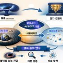 양자컴퓨터와 웜홀의 관계 이미지