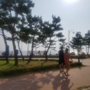 백두산정육