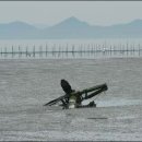 멍텅구리 이미지