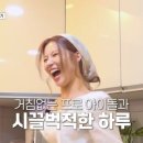 핫 독[Hot Dog] 이미지