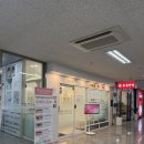 미라인뷰티 | 가디 속눈썹 연장 :: 미라인뷰티 가산점