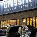 서산박스 | 2년 크로스핏 후기/서산 크로스핏 박스 드랍인 추천 (바벨드랍가능ㅎㅎ)/Training_Wolf_Seosan