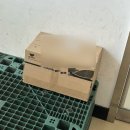 터미널 | 광주 창억떡집 / 호박인절미 터미널배송 후기 (여수)