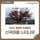 향교동 산곡마을 이미지