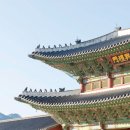 입고놀자
