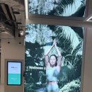 바이오피드 | [윔센터 강남] 동안 갓생 루틴 ✨ 해외 셀럽들의 '바이오해킹' 비결, 고압산소챔버 &amp; 에어프레셔 리얼후기