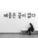켈리영어