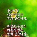 별빛하루