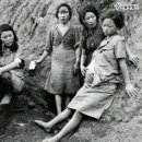 역사보고 배우고 이미지