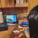 중앙동231 | 부산 초밥 맛집 설스시 내돈내산 후기｜남포동 스시 가성비·위치·영업시간 총정리