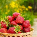 응골축제 이미지