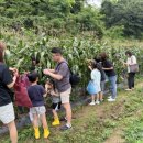 오금1리 이미지