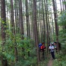 박달나무쉼터 옆 이미지