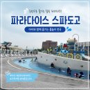 파라다이스 스파도고 | 파라다이스 스파도고 후기 | 아이와 함께 가기 좋은 온천 워터파크 천안 아산 수영장