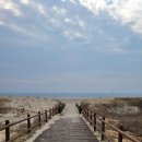 축복목장 | 예산 서산 태안 1박2일 여행코스 3편, 기지포해변 사구와 게국지·꽃게장 코스🦀