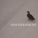 우쿠루쿠 이미지
