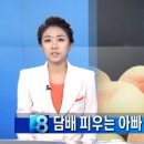 아빠복숭아