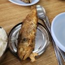 삼보인테리어 - 고령군 다산로 708 | [영등포오징어볶음] 코캥 코치가 추천한 숨은 백반 노포, 영등포 삼보식당 내돈내산 솔직후기