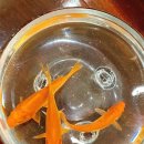 특별한부엌