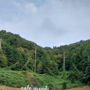 카페만디 이미지